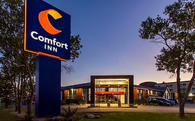 Comfort Inn South